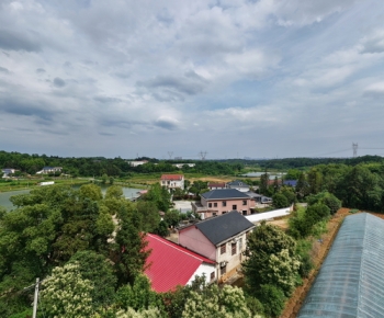 全景01